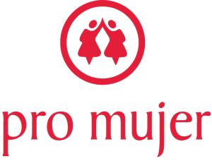 logo-promujer-mmed-300